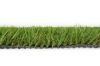 Pavilion